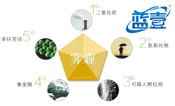 图片6_副本.png