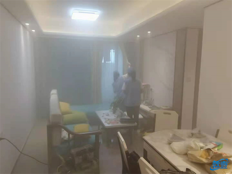蓝壹室内甲醛治理